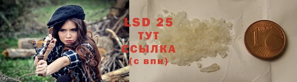 сатива Армянск