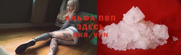 сатива Армянск