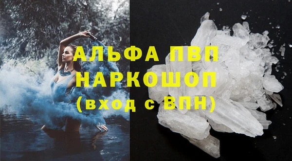 сатива Армянск