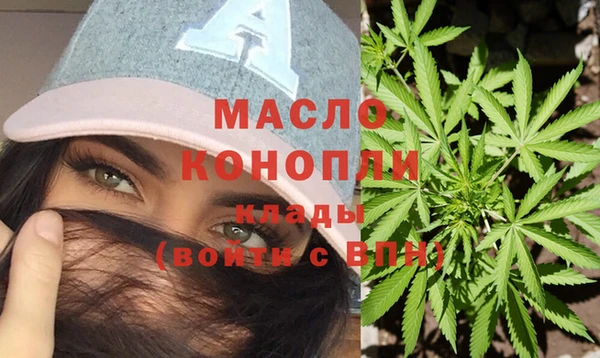 сатива Армянск