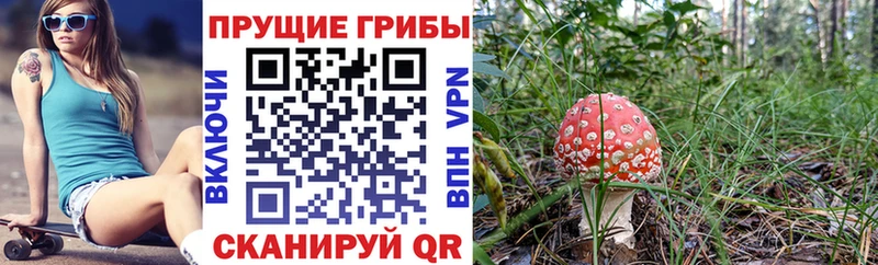 Псилоцибиновые грибы ЛСД  Отрадный 