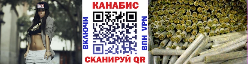 Конопля OG Kush Отрадный